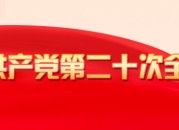 中国税务学会